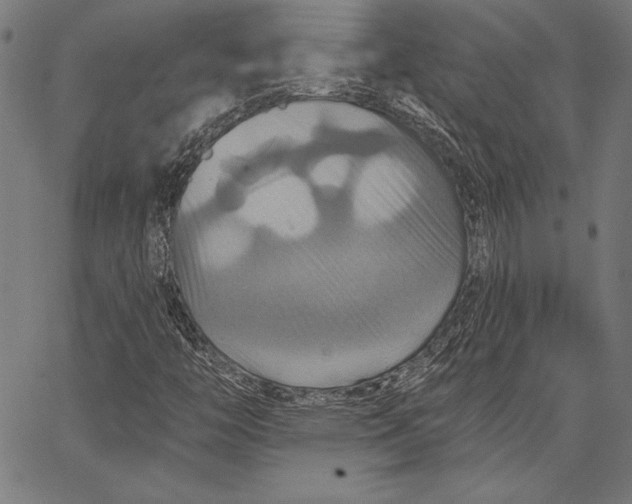 X0000066511446200604071515