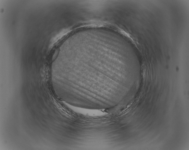 X0000066511448200604071515