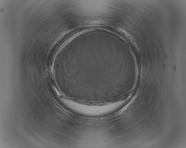 X0000066511449200604071515