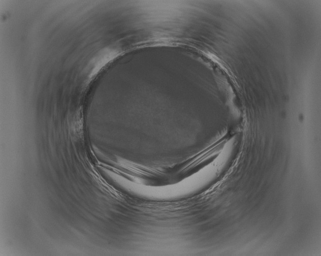 X0000066511450200604071515