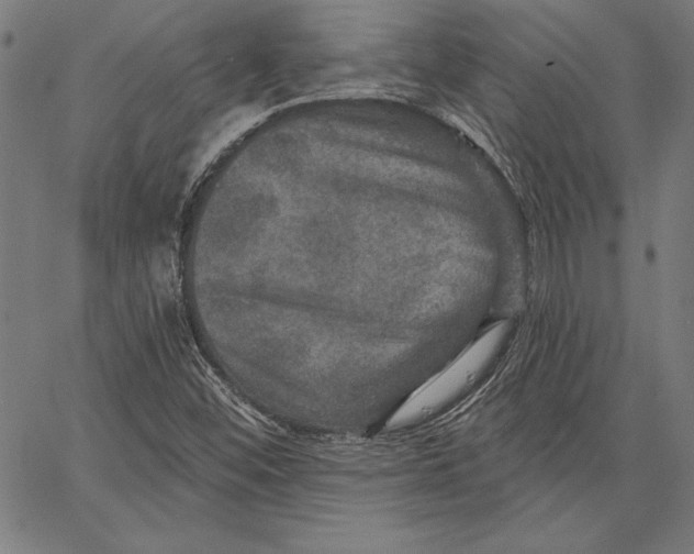 X0000066511452200604071515