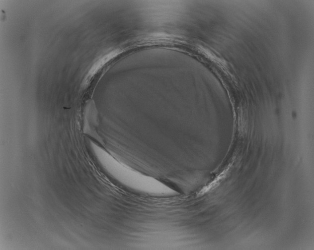 X0000066511453200604071515