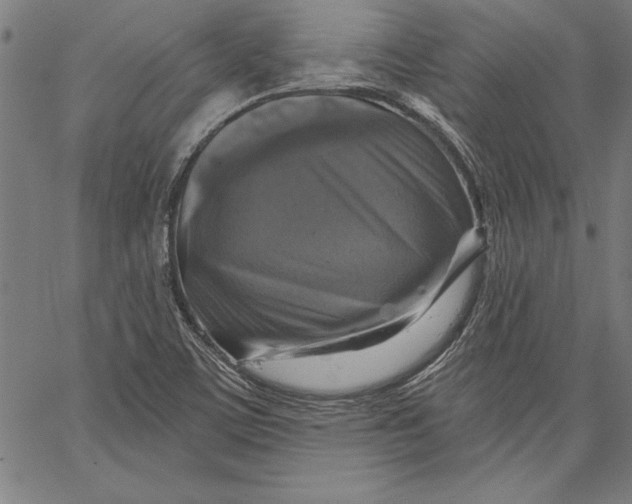 X0000066511459200604071515