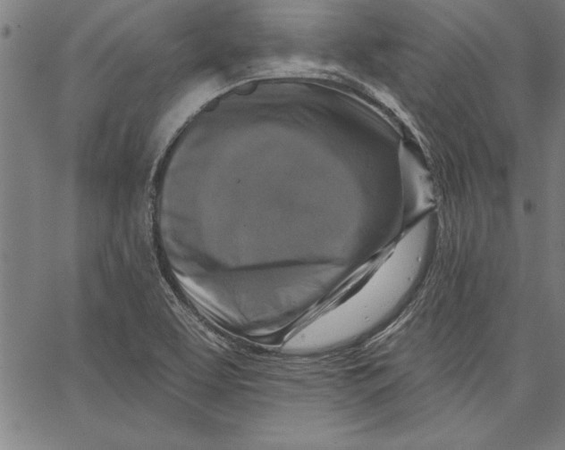 X0000066511463200604071515