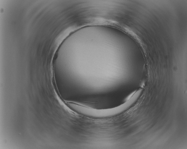 X0000066511479200604071515
