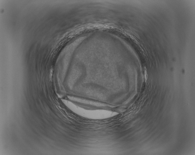 X0000066511492200604071514