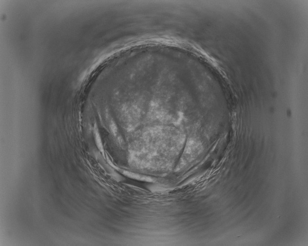 X0000066511496200604071514