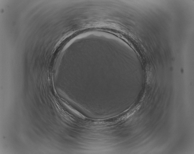 X0000066511497200604071514