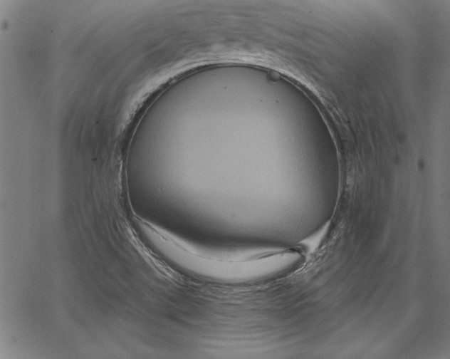 X0000066511507200604071514