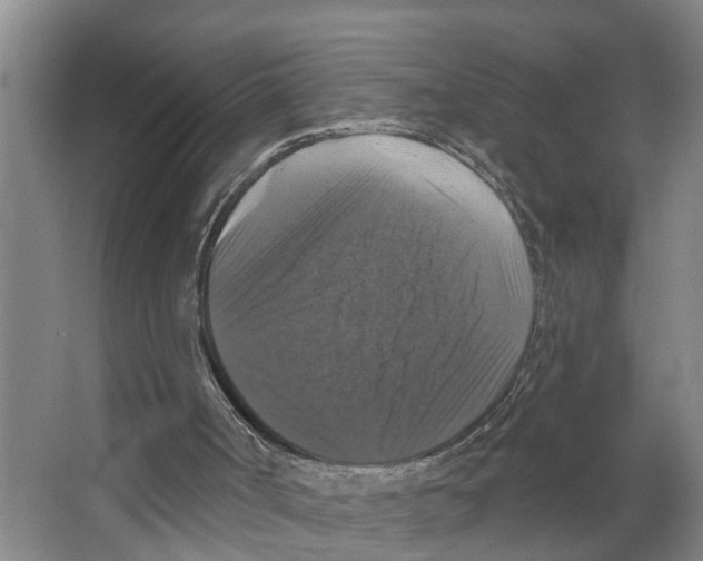 X0000066510002200604141800
