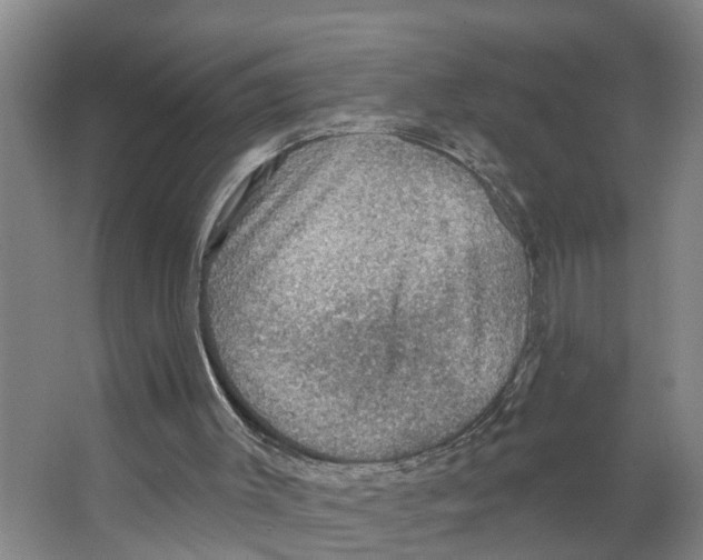 X0000066510003200604141800