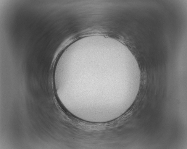 X0000066510004200604141800
