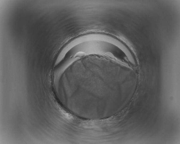 X0000066510009200604141800