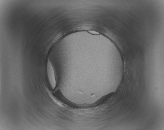 X0000066510013200604141800