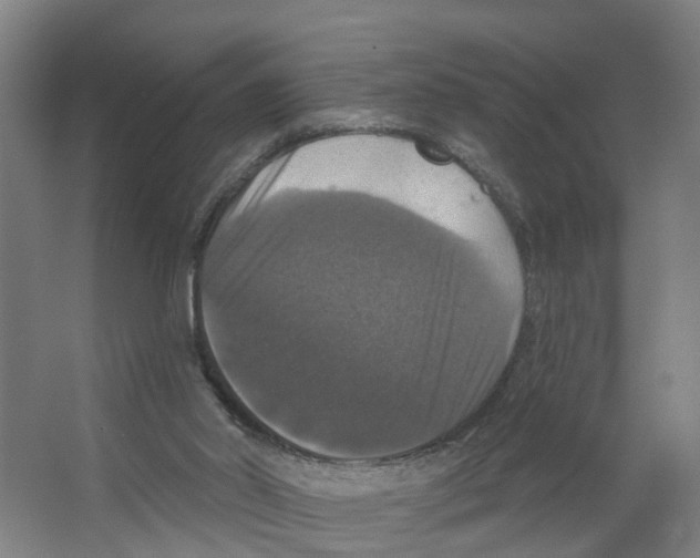 X0000066510014200604141800