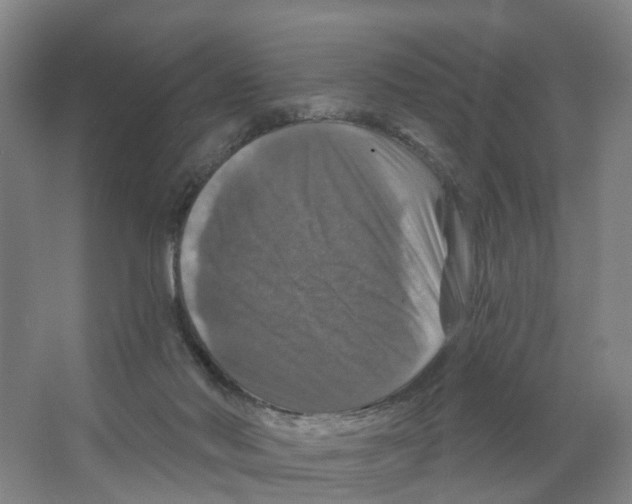 X0000066510022200604141800