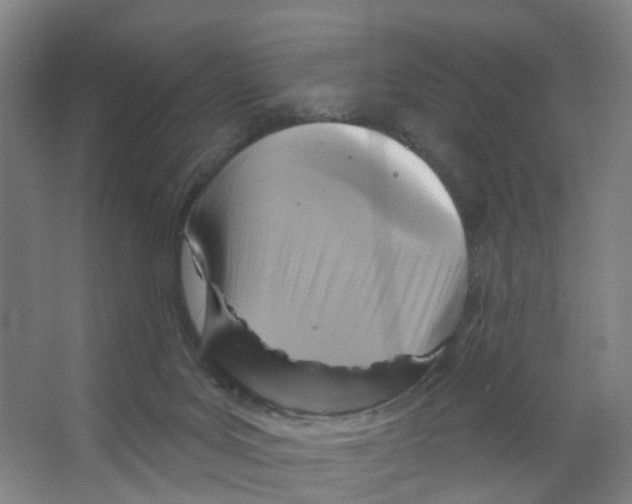 X0000066510027200604141800