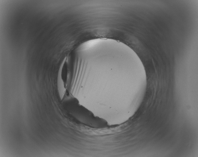 X0000066510031200604141759