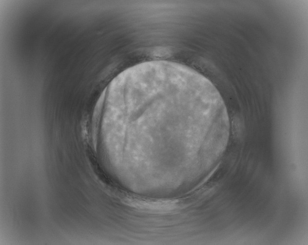 X0000066510032200604141759