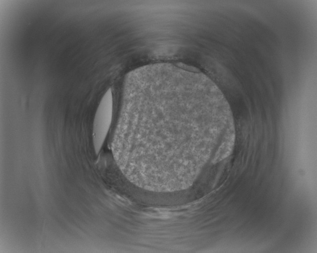 X0000066510033200604141759