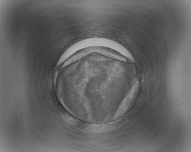 X0000066510037200604141759