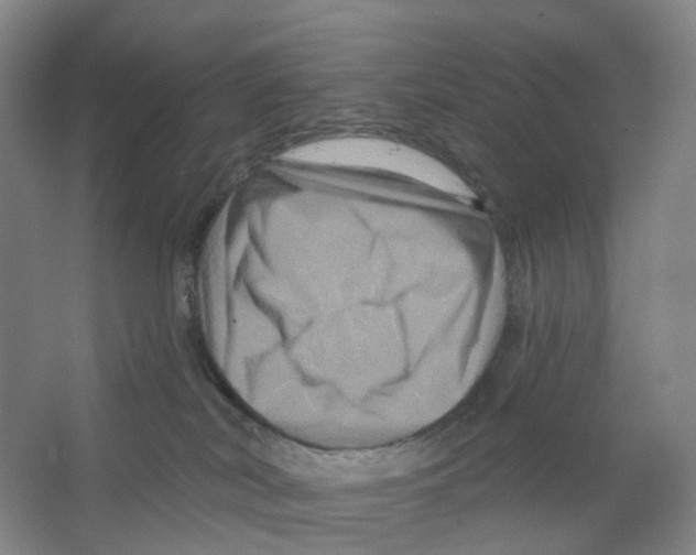 X0000066510038200604141759