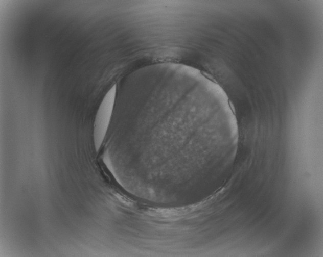X0000066510041200604141759