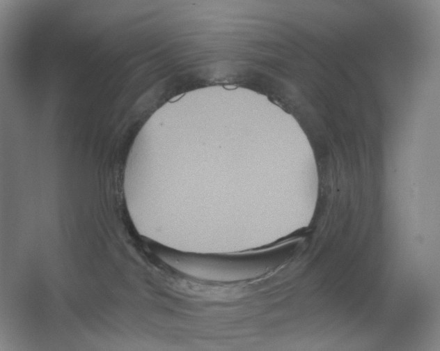 X0000066510044200604141759