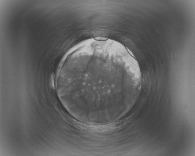 X0000066510046200604141759