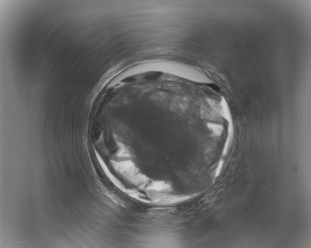 X0000066510051200604141758