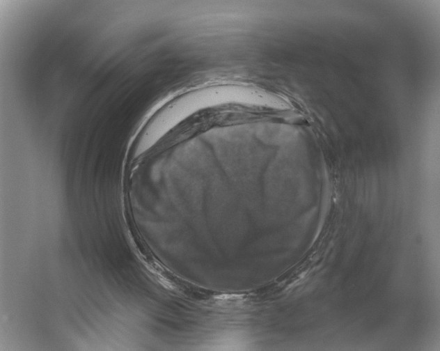 X0000066510052200604141758