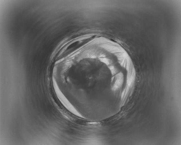 X0000066510053200604141758