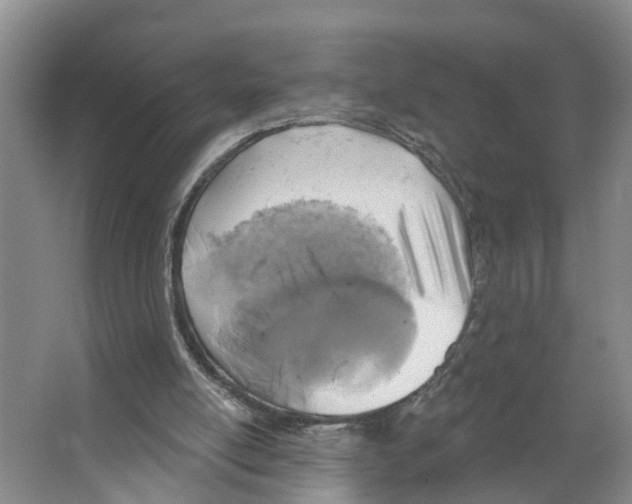 X0000066510054200604141758