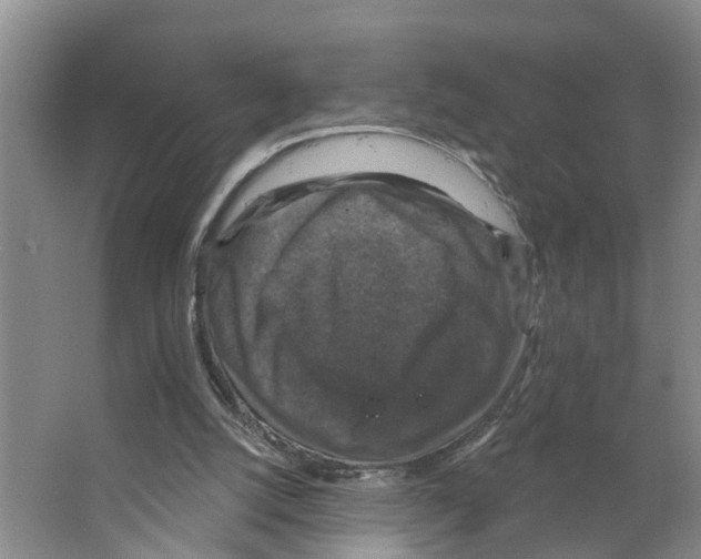 X0000066510056200604141758