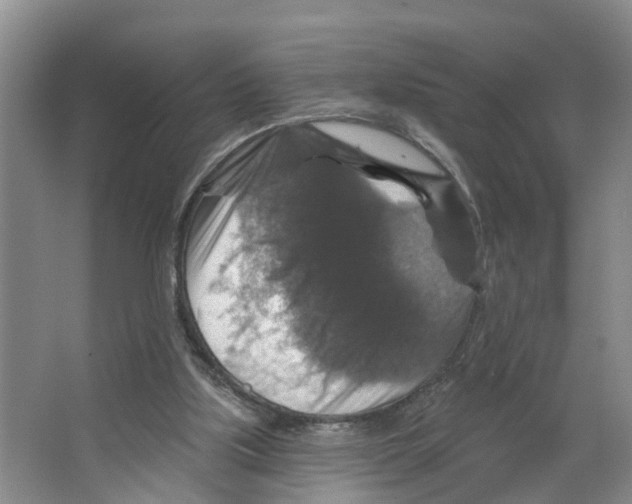 X0000066510059200604141759