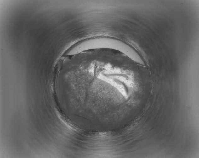 X0000066510060200604141759