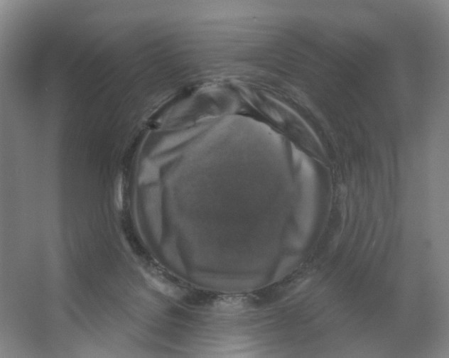 X0000066510076200604141759