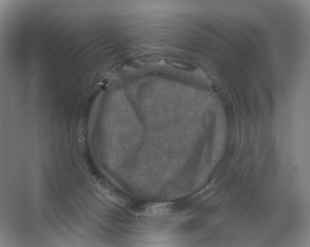 X0000066510078200604141759