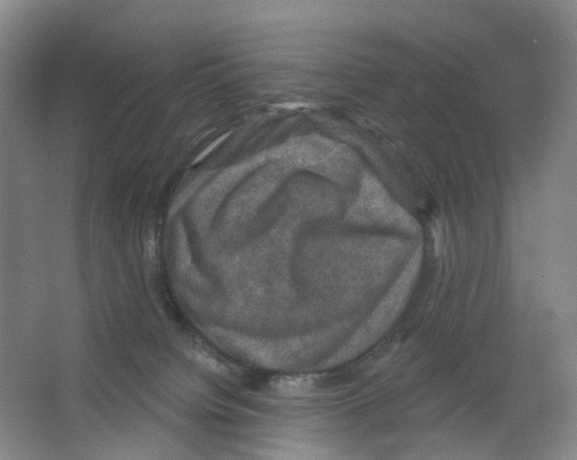 X0000066510084200604141759