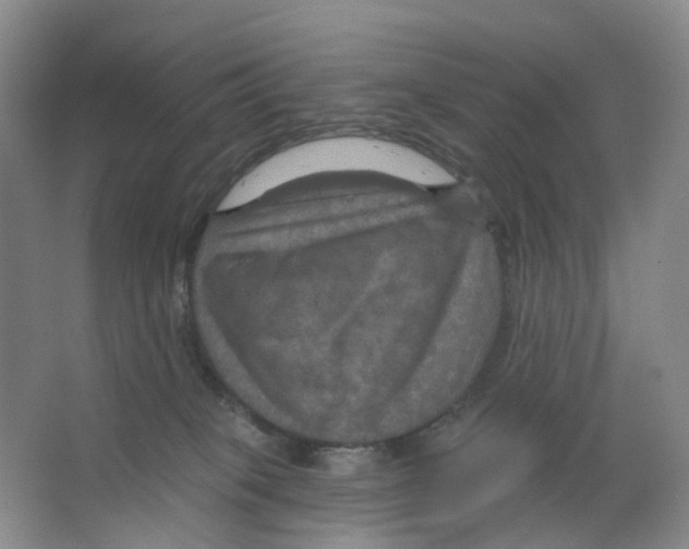 X0000066510085200604141759