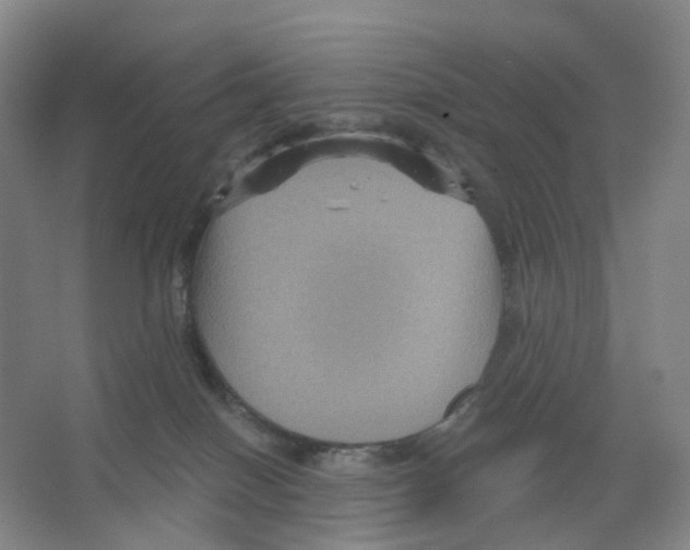 X0000066510086200604141759