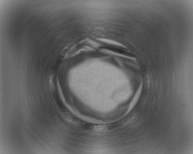 X0000066510088200604141759