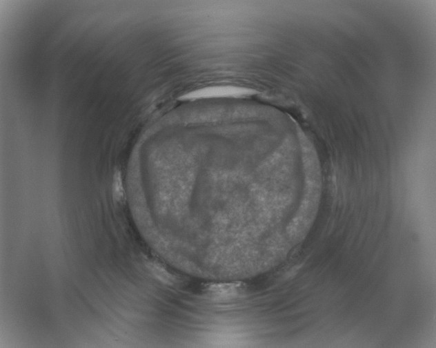 X0000066510089200604141759