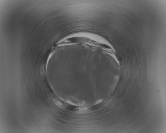 X0000066510093200604141759