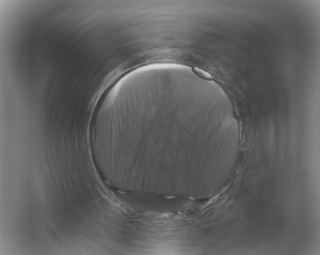 X0000066510099200604141758