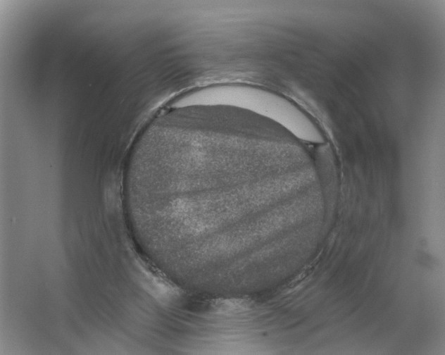X0000066510107200604141758