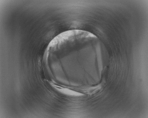 X0000066510127200604141758