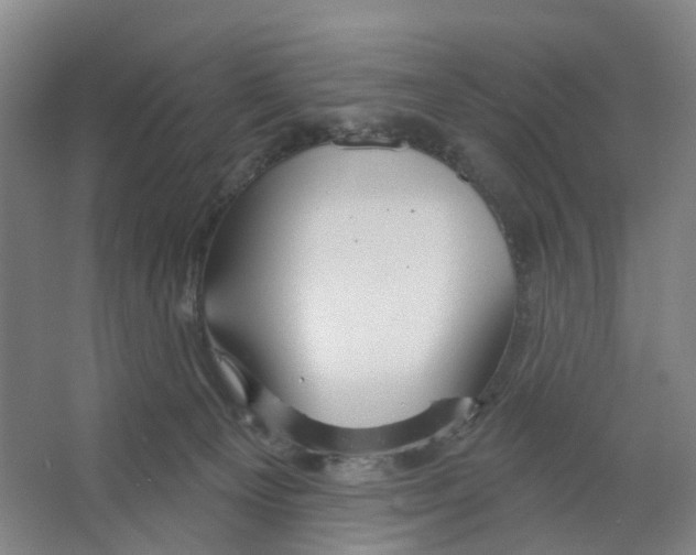 X0000066510129200604141758