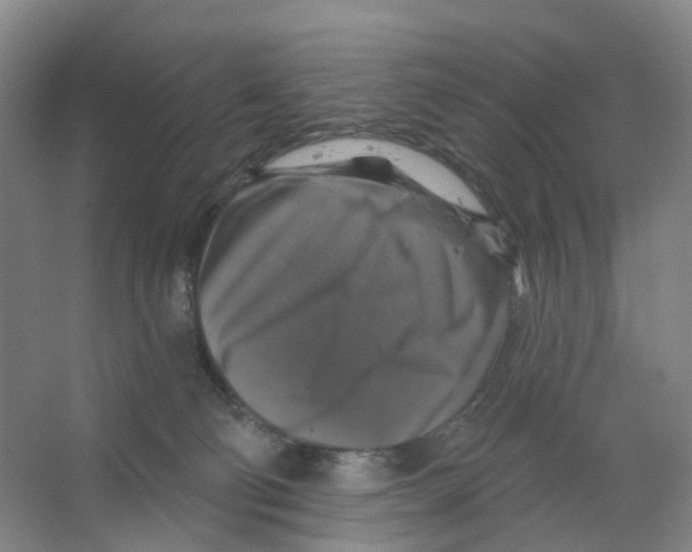 X0000066510130200604141758