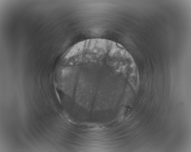 X0000066510131200604141758